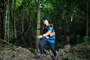 BIB: 
                            <button type="button" onclick="openModal(19441400)" class="btn btn-primary btn-sm float-right btn-popup" data-toggle="modal" data-target=".modal-high-quality">
                        <i class="fas fa-shopping-cart"></i> Add to Cart
                    </button>
                                            <button type="button" onclick="isThisMe(19441400, true)" class="btn btn-success btn-sm float-right btn-popup btn-isme hidden" data-toggle="tooltip" data-placement="bottom" title="นี่คือรูปของคุณใช่ไหม คลิกที่นี่เพื่อเอาเข้าอัลบั้ม">
                        <i class="fas fa-plus"></i> Add to album
                    </button>
                    <button type="button" onclick="isThisMe(19441400, false)" class="btn btn-warning btn-sm float-right btn-popup btn-isnotme hidden">
                        <i class="fas fa-ban"></i> Remove from album
                    </button>